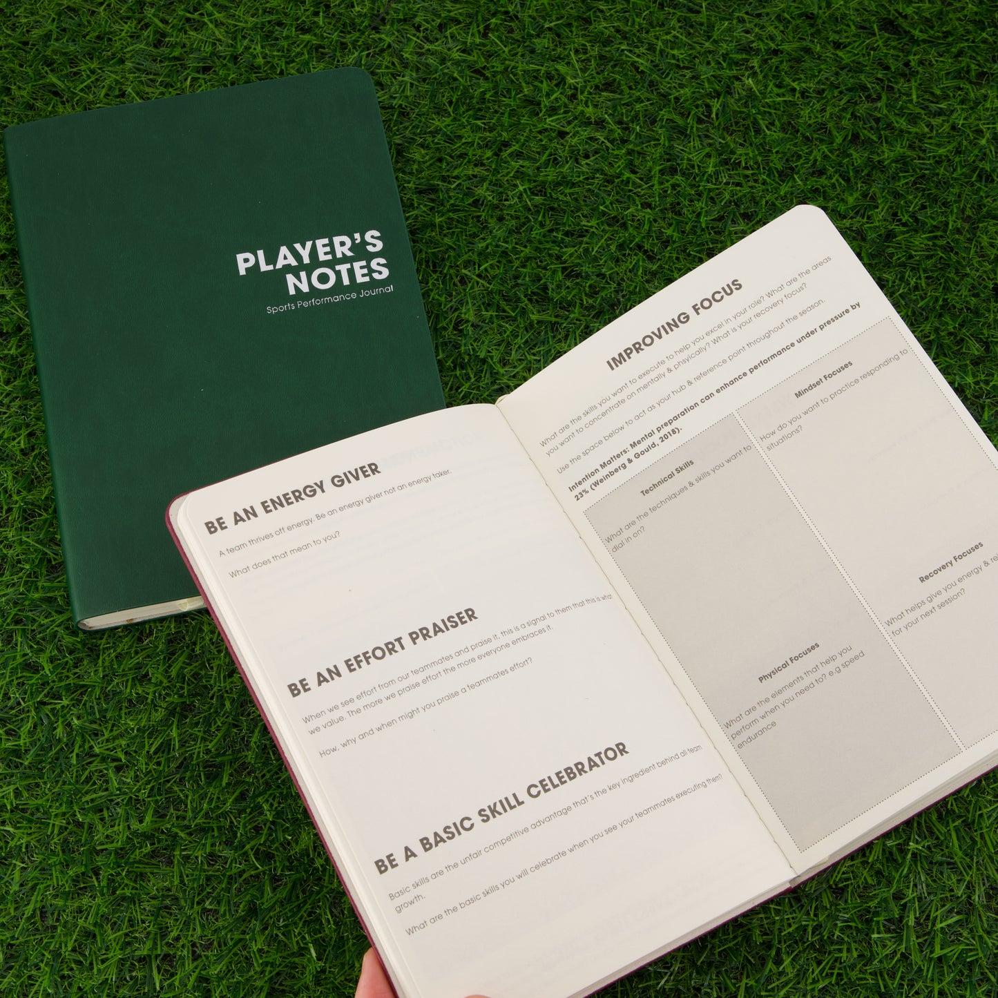 Player's Notes v2