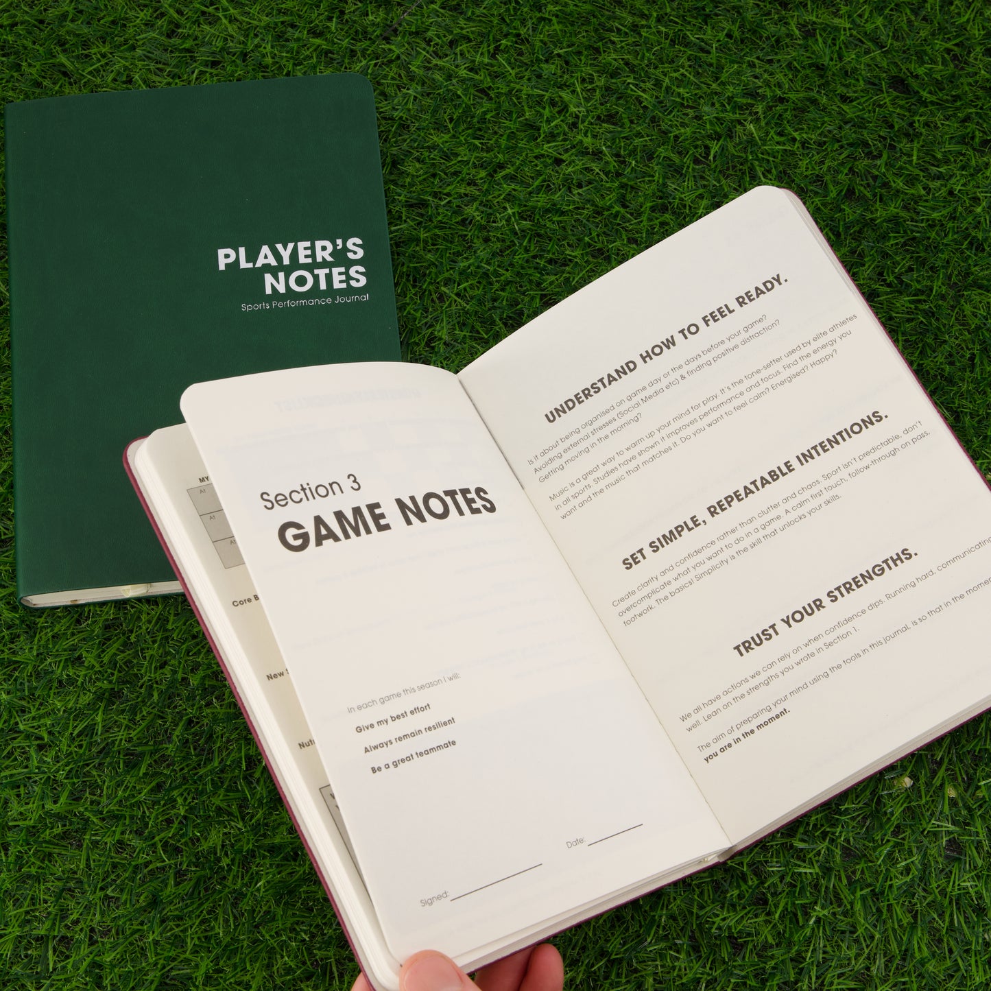 Player's Notes v2